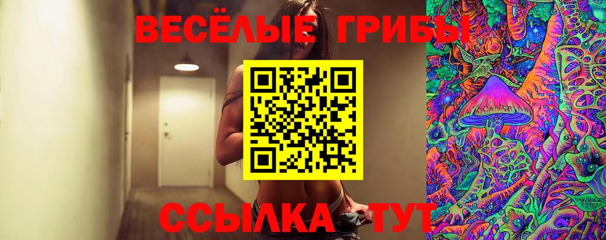 Псилоцибиновые грибы мухоморы Балашов