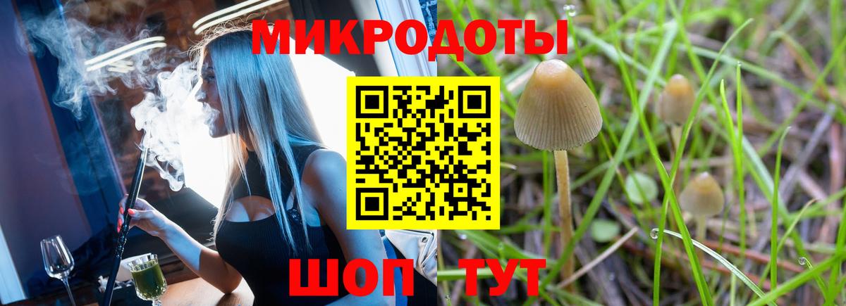 Балашов  Псилоцибиновые грибы ЛСД  Вход с VPN 