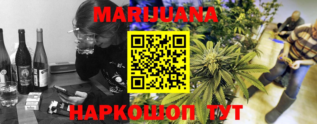 Бошки Шишки планчик Балашов